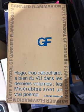 Garnier Flammarion GF Paperback Book - Beige with Blue Text